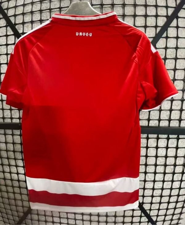 Camiseta Union Berlin 25/26 - Primera Equipación - Imagen 2